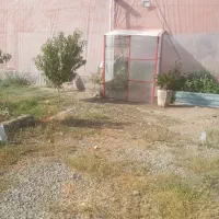 گلخانه مجوزدار درحال بهره برداری