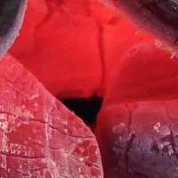 کارگاه تولید ذغال...شریک کننده لازم دارم