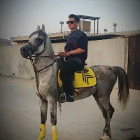 اسب