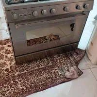 فرگازتکنو|اجاق گاز و لوازم برقی پختوپز|بندرعباس, |دیوار