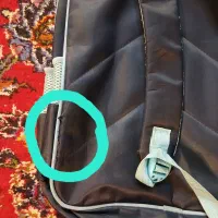 کیف مدرسه|کیف، کفش، کمربند|شیراز, رکن‌آباد|دیوار