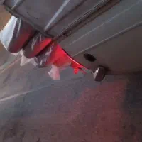 وانت بار فخری