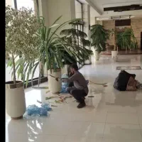 خدمات باغبانی تعویض خاک گلدون کود 30٪در محل سمپاشی