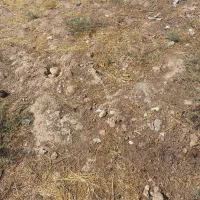 فروش زمین مسکونی  دارای سند ملکی در خشت