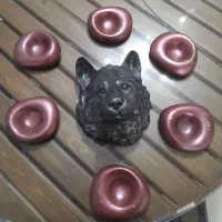 جا عودی و ظروف هفت سین+هدیه