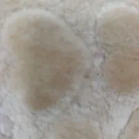 زمین مسکونی روستای کل کل ایوانغرب