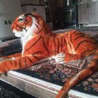 ببر بزرگ|اسباب‌‌بازی|ایوان, |دیوار