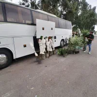 باربری و اثاث کشی با کارگران حرفه ای|خدمات حمل و نقل|چمستان, |دیوار