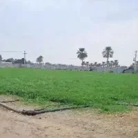 اجاره-3هکتار-زمین-کشاورزی