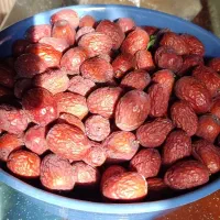 عناب تازه درجه یک|خوردنی و آشامیدنی|فولادشهر, B2|دیوار