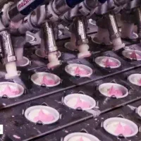 کارگرساده و راننده و حراست باخواب غذا شرکت بستنی|استخدام صنعتی، فنی، مهندسی|تهران, تهرانپارس شرقی|دیوار