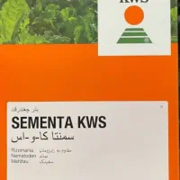 بذر چغندر قند