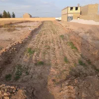 زمین پشت کندرو زارچ