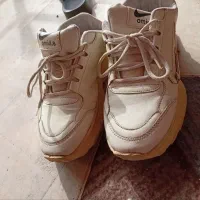 دو جفت کفش|کیف، کفش، کمربند|بیرجند, |دیوار