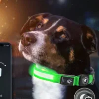 لوازم جانبی حیوانات