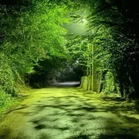 فروش زمین با کاربری مسکونی