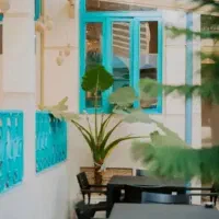 باریستا،سالندار،ظرفشور