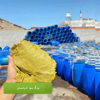 برگ مو برگ دلمه شیره انگور درجه یک|خوردنی و آشامیدنی|تهران, امام حسین|دیوار