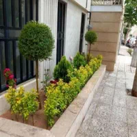 کلیه خدمات باغبانی و باغچه و کاشت گل وگیاه