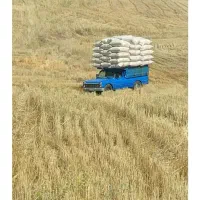کهه|حیوانات مزرعه|نهاوند, |دیوار