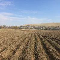 اجاره-زمین-کشاورزی