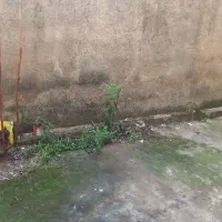 اجاره ای|اجارهٔ خانه و ویلا|رشت, پاره بیجار|دیوار