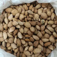 بادام|خوردنی و آشامیدنی|کامیاران, |دیوار