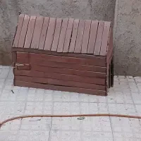آشیانه مرغ