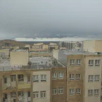 همخونه میخام