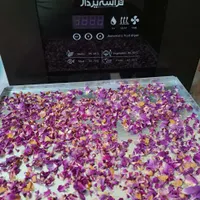 دستگاه میوه و سبزی خشک کن و اسلایسر دستی و برقی|ماشین‌آلات صنعتی|تهران, پیروزی|دیوار