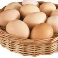 تخم مرغ محلی تازه ب روز
