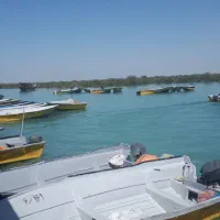 جزیره قشم حرکت 26 آذر دوشب اقامت