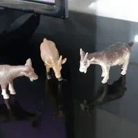 فیگور عروسک حیوانات|اسباببازی بچه|کاشمر, |دیوار