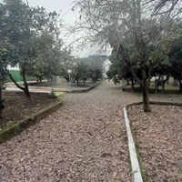 ۱۵۰۰ متر ویلا باغ ساحلی