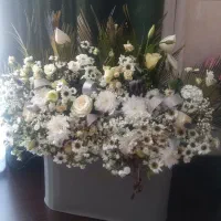 باکس گل طبیعی