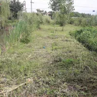 قیمت خرید خودم و پایین تر ازمنطقه