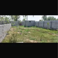 فروش زمین شهرکی متراژ ۲۳۰ متر سندتک برگ سرخرود|فروش زمین و ملک کلنگی|دابودشت, |دیوار