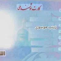 مدارک به نام زینب موسوی گمشده