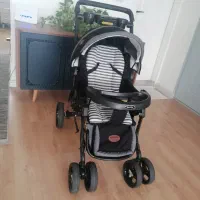 کالسکه دلیجان