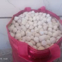 کشک نقلی|خوردنی و آشامیدنی|کوهنانی, |دیوار