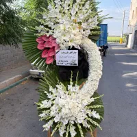 گلفروشی اینترنتی تاج گل تاجگل|گل و گیاه طبیعی|کرج, کمال‌شهر|دیوار