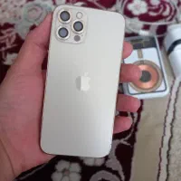 ایفون۱۲ پرو گلد خشک