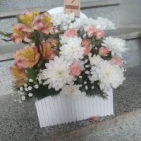 گل با گلدون زیر قیمت گل فروشی