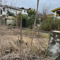 به قیمت ترین زمین ساحلی نوشهر/مالک هستم/بدون واسطه|فروش زمین و ملک کلنگی|نوشهر, |دیوار