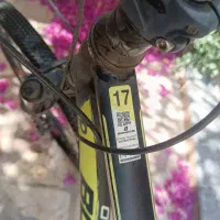 دوچرخه، اسکیت