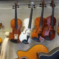 فروش انواع ویولن از مبتدی تا حرفه ای|ویولن|گلپایگان, |دیوار