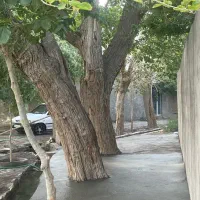 ۴۰۰ مترخونه باغ کهک شاه ابراهیم|فروش خانه و ویلا|کهک, |دیوار