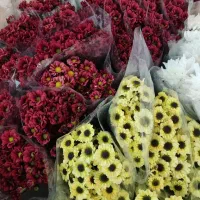 عمده داوودی و خرده بار