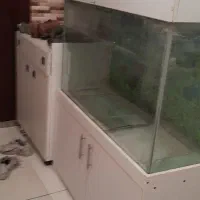 اکواریوم کمد دار|ماهی|کرج, شاهینویلا|دیوار