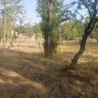 باغ محدوده روستای باروق|فروش دفتر صنعتی، کشاورزی، تجاری|اردبیل, |دیوار